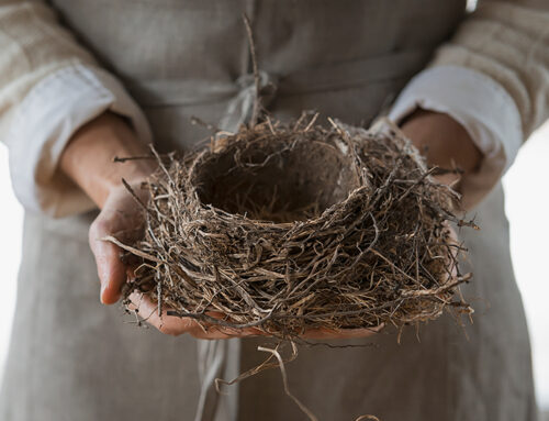 Empty Nest Syndrome and the Shadow of Narcissistic Upbringing
