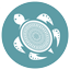 Narcissistic Abuse Recovery Center Logo